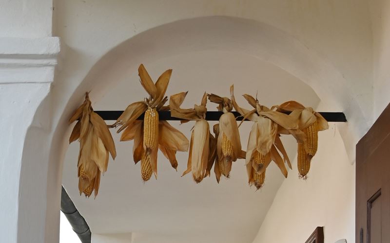 Rakusko - Burgenland - ubytovanie - apartman - vino - kone - austria.sk