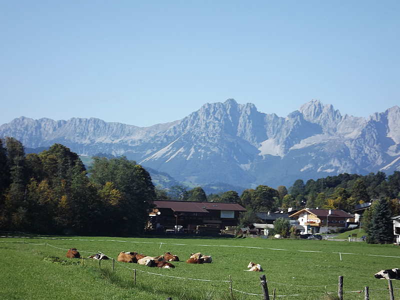 hranice - karanténa - austria.sk