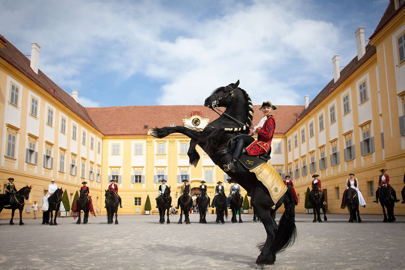 Veľká slávnosť koní na zámku Schloss Hof Rakusko, zámok Schloss Hof, čierne kone