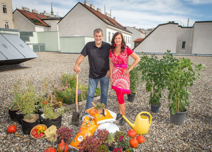 Pre komunitné súžitie, proti horúčavám: mestské záhrady vo Viedni Viedeň - Rakúsko - záhradka