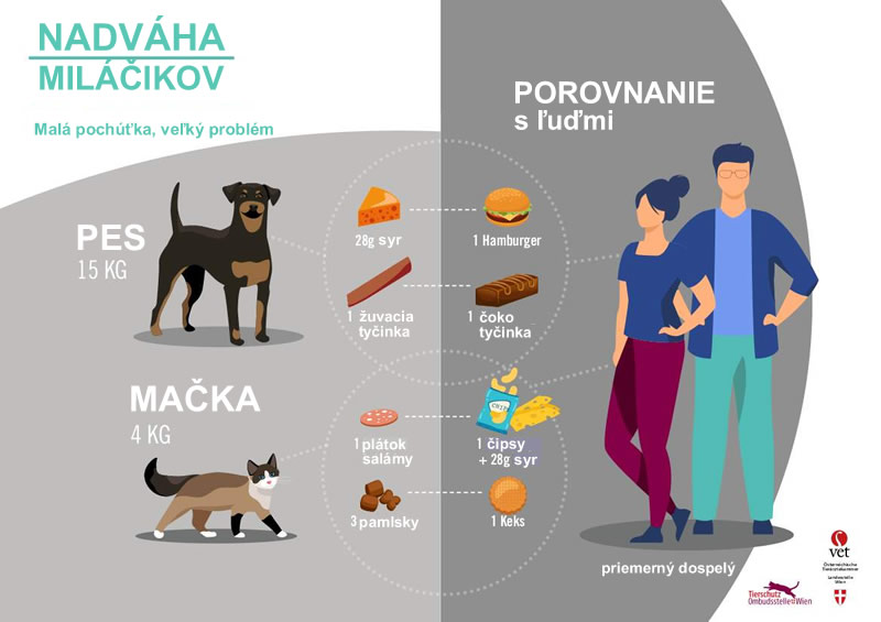 Rakúsko - Viedeň - nadváha - obezita - pes - mačka - austria.sk