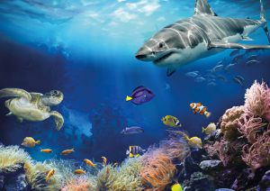Aquazoo Schmiding má najväčšie morské akvárium v Rakúsku