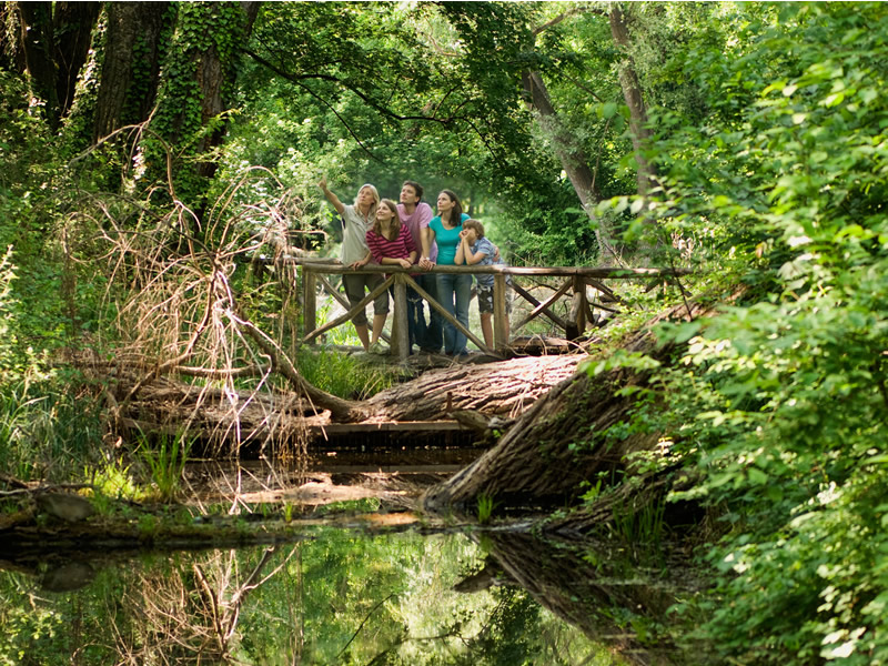 Donau-Auen národný park, sprievodca ukazuje návštevníkom hniezda a stromoch