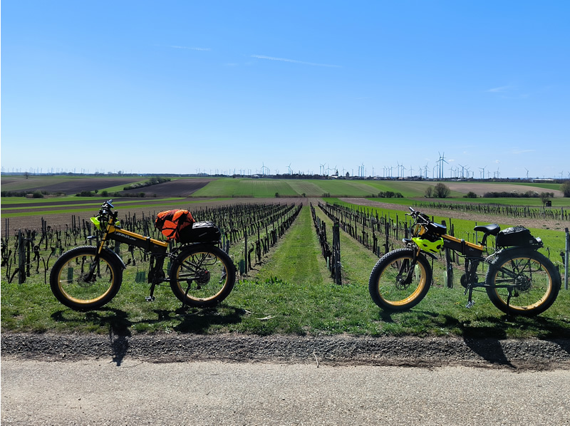 bicykle,rakusko,vinic,cyklotrasa,jar,vylet