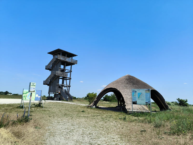 Rakusko - Neusiedler See - Seewinkel - Przewalsky - biely somar - cyklotrasa - austria.sk