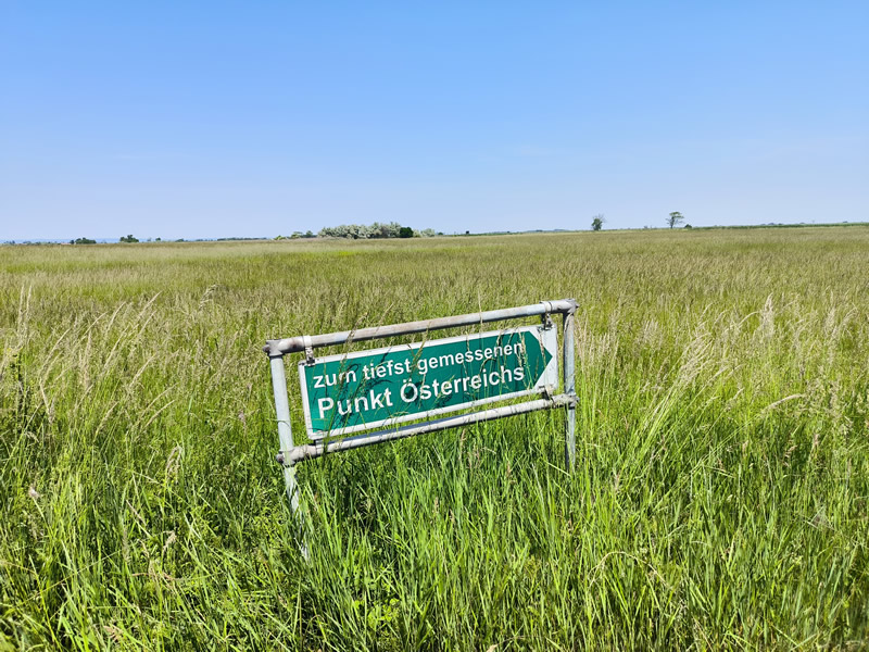 Rakusko - Neusiedler See - Seewinkel - Przewalsky - biely somar - cyklotrasa - austria.sk