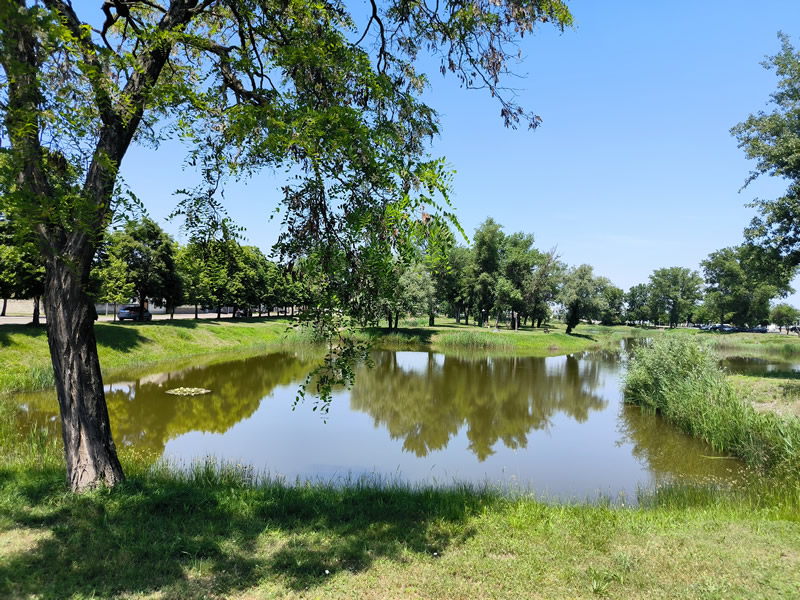 Rakusko - Neusiedler See - Seewinkel - Przewalsky - biely somar - cyklotrasa - austria.sk