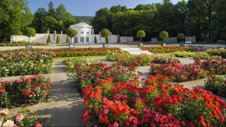 Rakusko - Baden - event - ruže - rozarium - tip na vylet - austria.sk