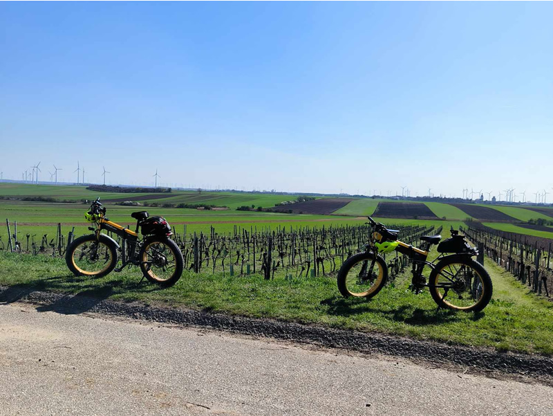 dva bicykle na trave, modra obloha