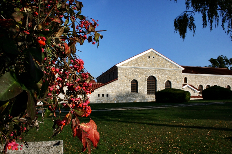 Rimania - Rakusko - austria.sk