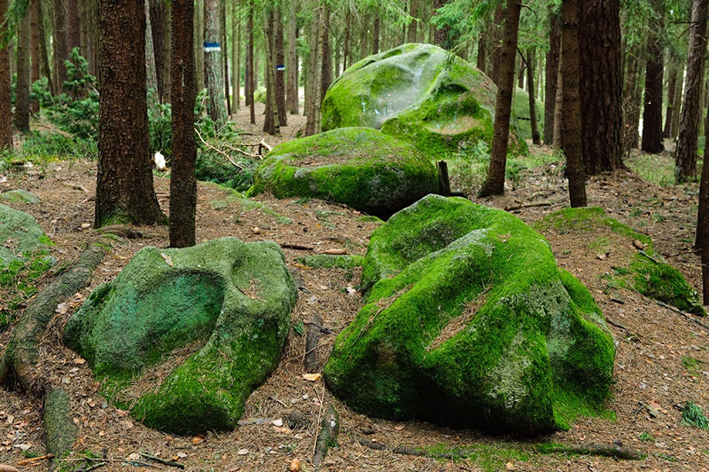 Dolne Rakusko - tip na vylet - Waldviertel - Steinakirchen - Retzbach - Groß Gerungs - Fehhaube Kogelsteine - Mariazell - Druid - austria.sk