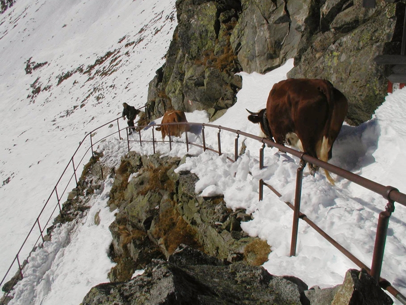 Salzburg - Krimml - Hohe Tauern - Rakúsko - austria.sk