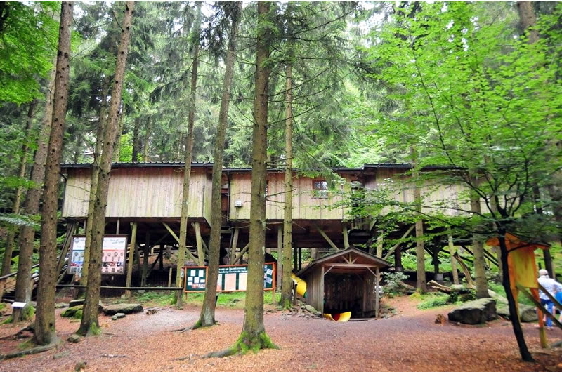 Horné Rakúsko - les - výlet - austria.sk