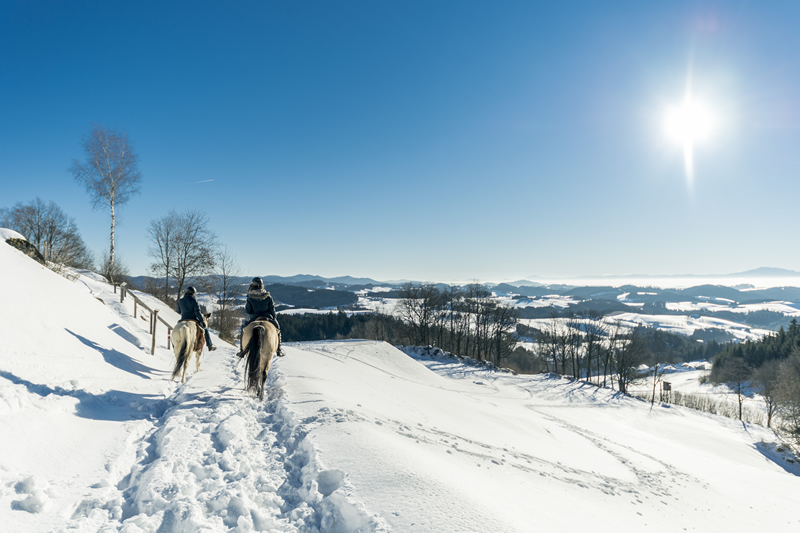 Rakusko - zima - jazda na koni - tip na vylet - austria.sk