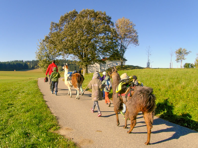 Rakusko - turistika - kam na vylet - austria.sk