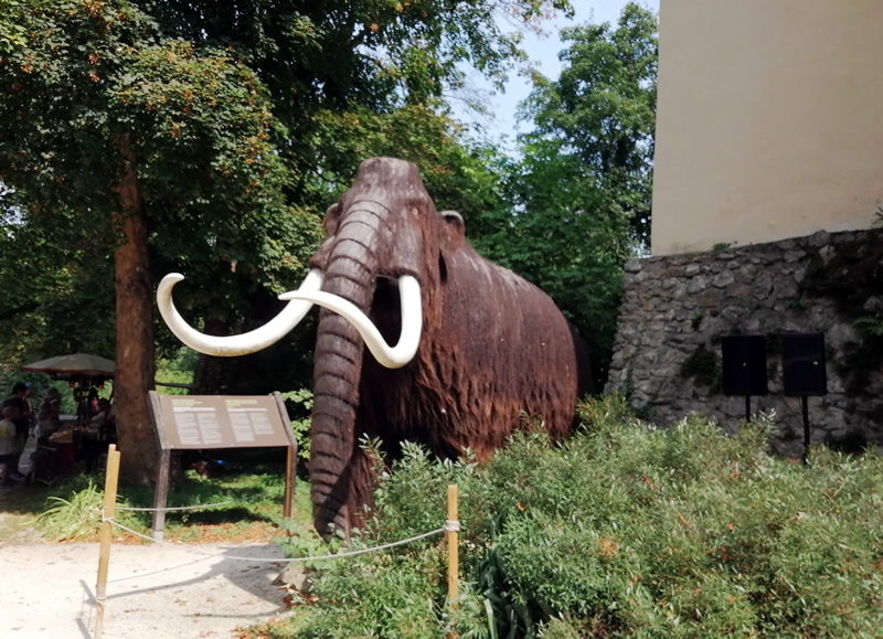 Rakusko - muzeum - mamut - pravek - zámok - austria.sk