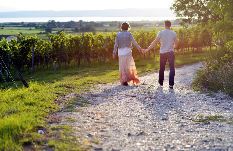 muz,zena,vinice,vinica, hrozno,jazero,neusiedlersee,rakusko,austriask,turistika