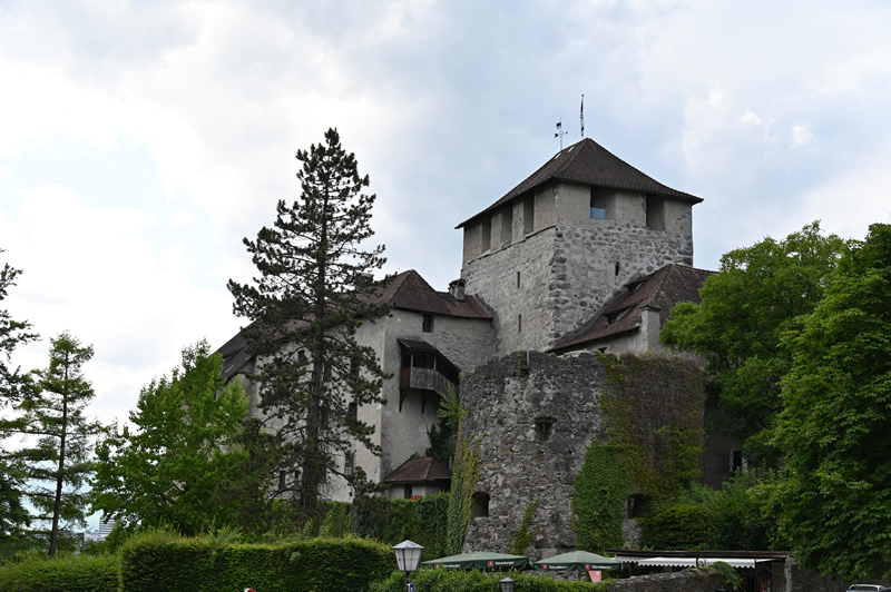 Budova hradu Schattenburg obkolesená stromami