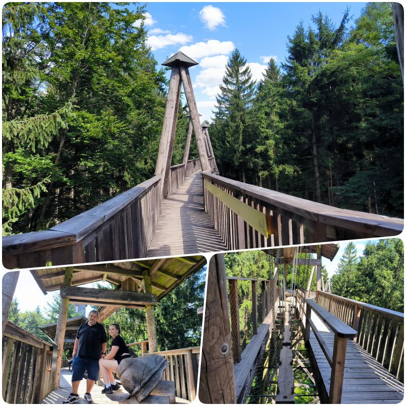 tip na vylet, austria.sk, kam na vylet, Chodnik v korunach stromov, Rakusko, Baumhotel, Baumkronenweg