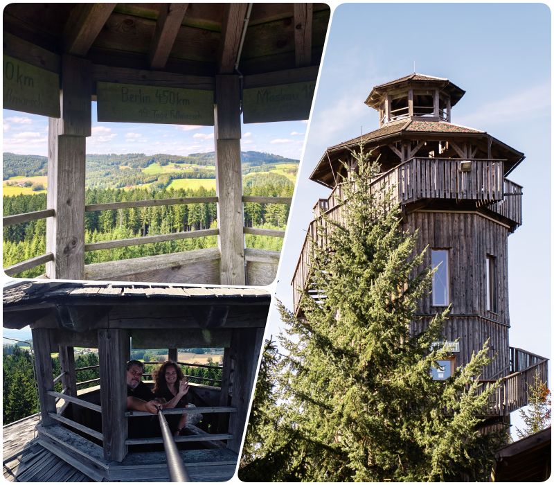 tip na vylet, austria.sk, kam na vylet, Chodnik v korunach stromov, Rakusko, Baumhotel, Baumkronenweg