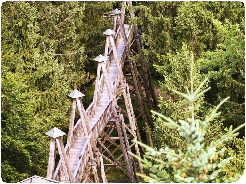 tip na vylet, austria.sk, kam na vylet, Chodnik v korunach stromov, Rakusko, Baumhotel, Baumkronenweg