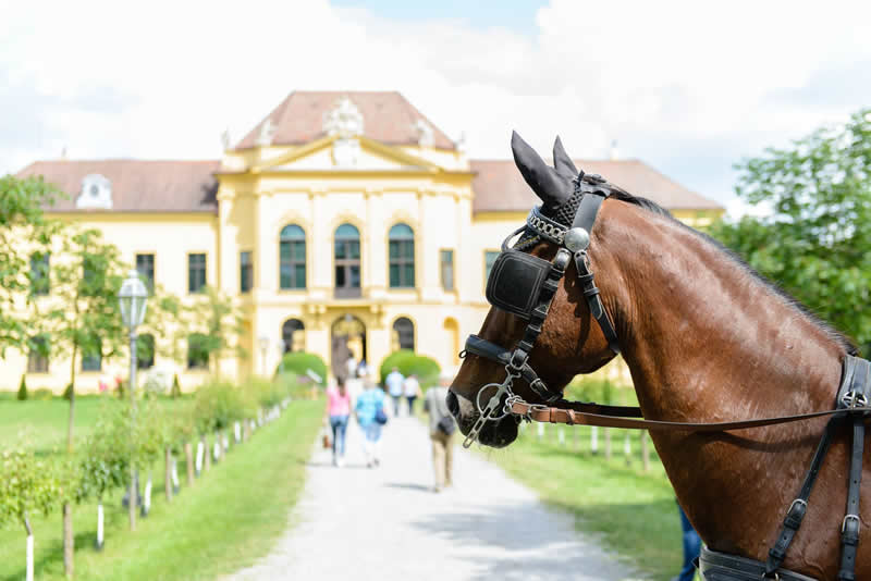 Rakusko - cyklotrasa - tip na vylet - zabava - Den otcov - austria.sk