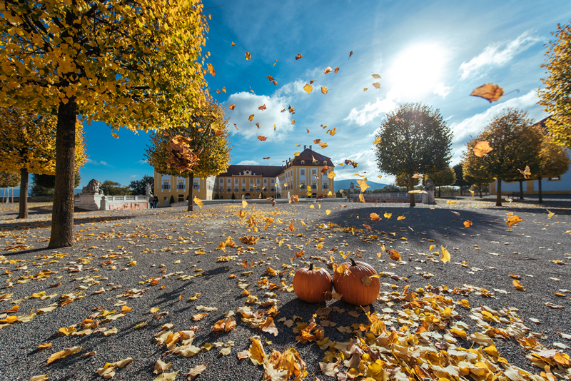 z&aacute;mok, schloss, Schlosshof, jesen, Herbstfest, jesenna slavnost, tip na vylet, zamok zasypany listim, tekvice