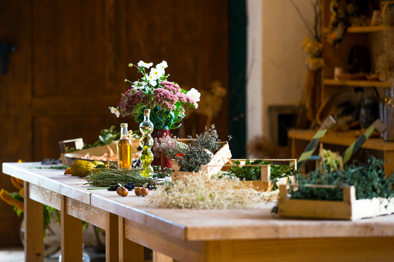 Rakusko - jesen - vylet - Schlosshof - muzeum - Halloween - austria.sk