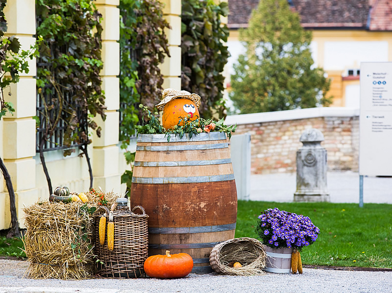 Rakusko - jesen - vylet - Schlosshof - muzeum - austria.sk