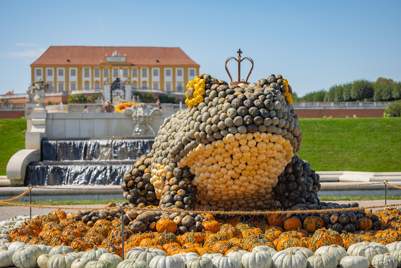 z&aacute;mok, schloss, Schlosshof, jesen, Herbstfest, jesenna slavnost, tip na vylet, zamok zasypany listim, tekvice