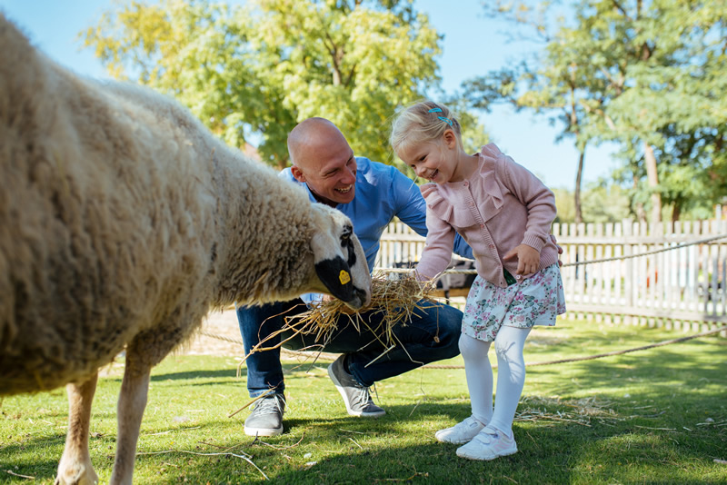 otec,dcera,ovca,jar,rakusko,schloss hof