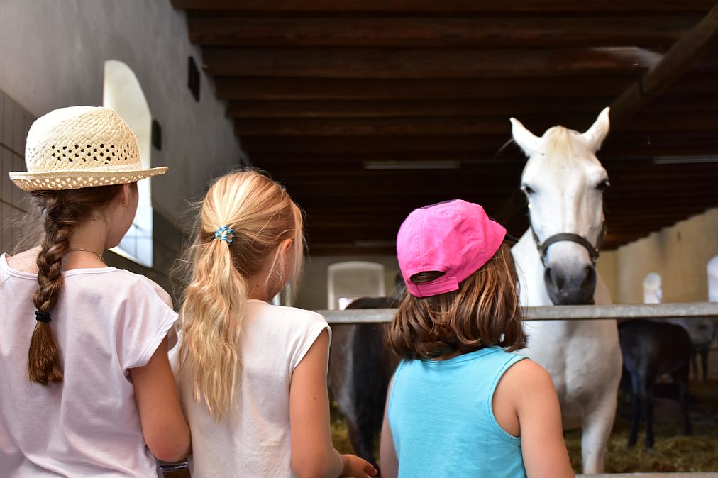 Stajersko - kone - vylet - austria.sk