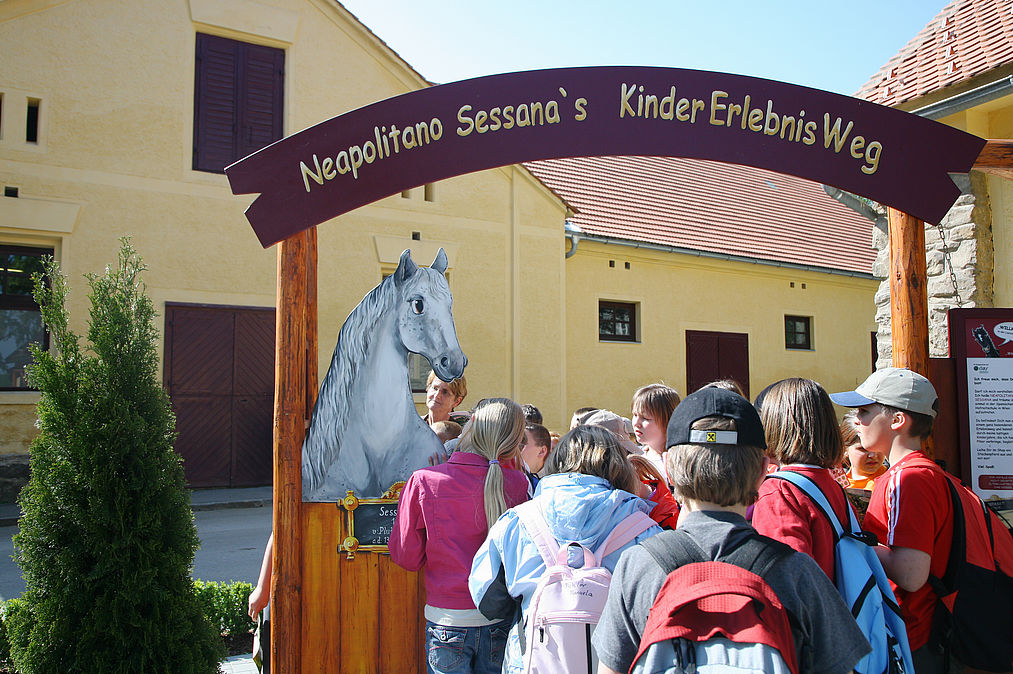 Stajersko - kone - vylet - austria.sk