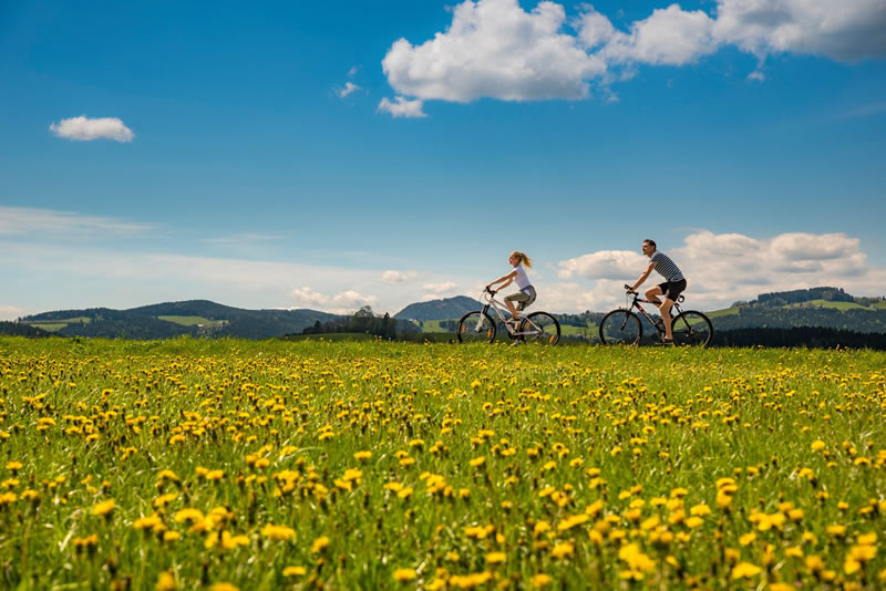 Oststeiermark - steiermark - 
