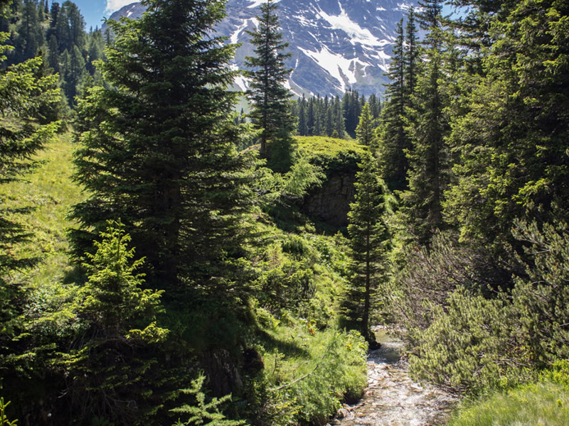 Salzburgerland - Rakúsko - austria.sk - Raurisertal