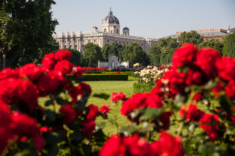 Rakúsko - Viedeň - park - austria.sk