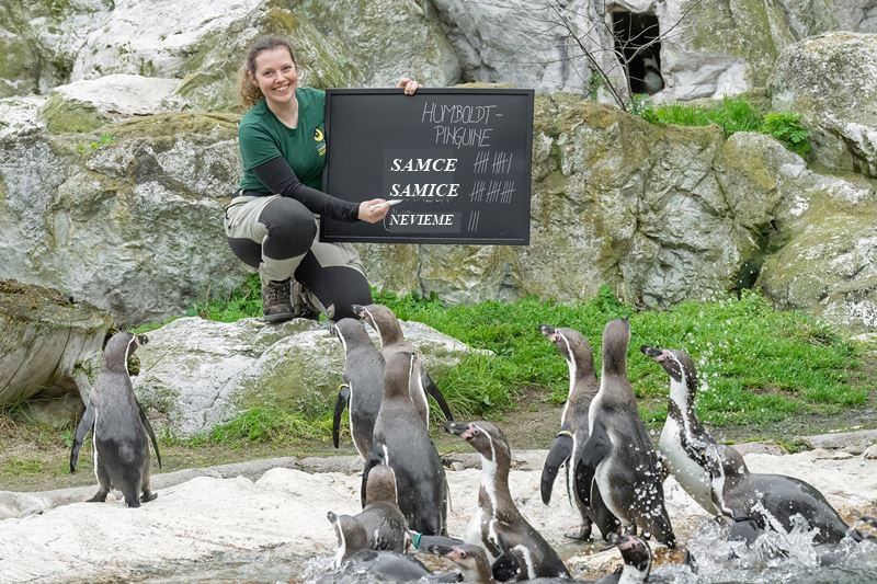 Rakusko - Vieden - ZOO - austria.sk