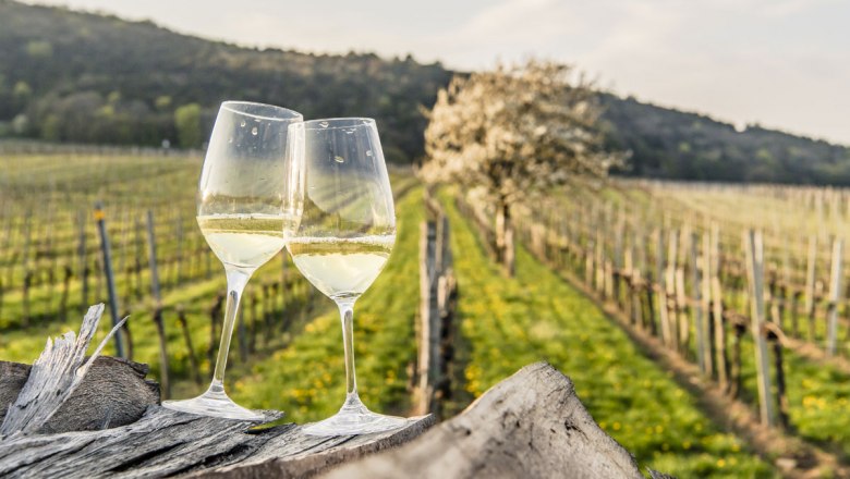 Dolne Rakusko - austria.sk - vino - vinohrad