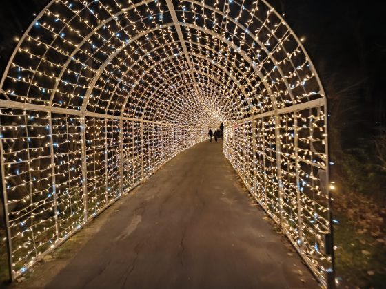 ILLUMINA v zámockom parku Laxenburg