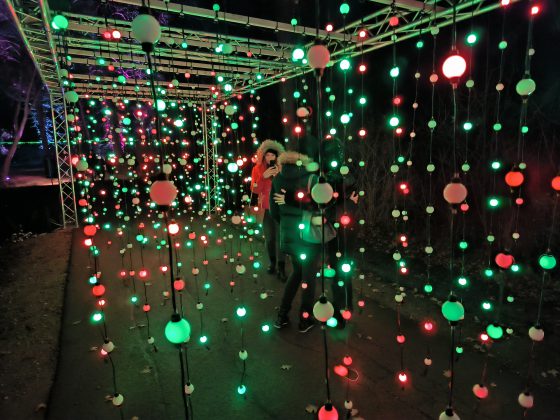 ILLUMINA v zámockom parku Laxenburg