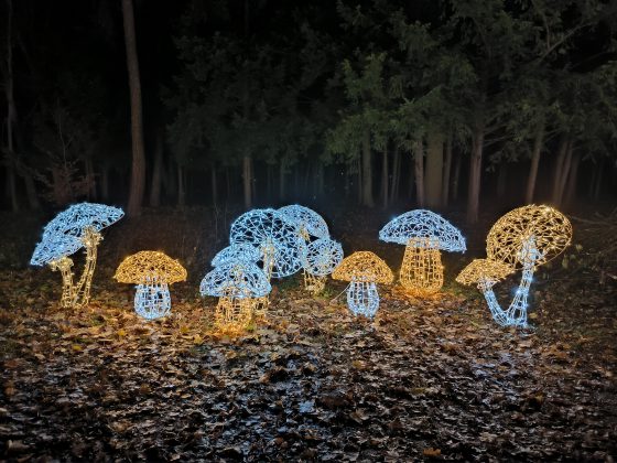 ILLUMINA v zámockom parku Laxenburg