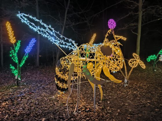 ILLUMINA v zámockom parku Laxenburg