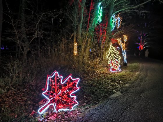 ILLUMINA v zámockom parku Laxenburg