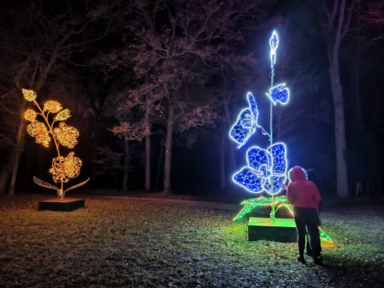 ILLUMINA v zámockom parku Laxenburg