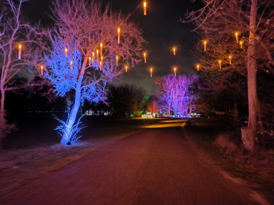 ILLUMINA v zámockom parku Laxenburg