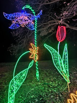 ILLUMINA v zámockom parku Laxenburg